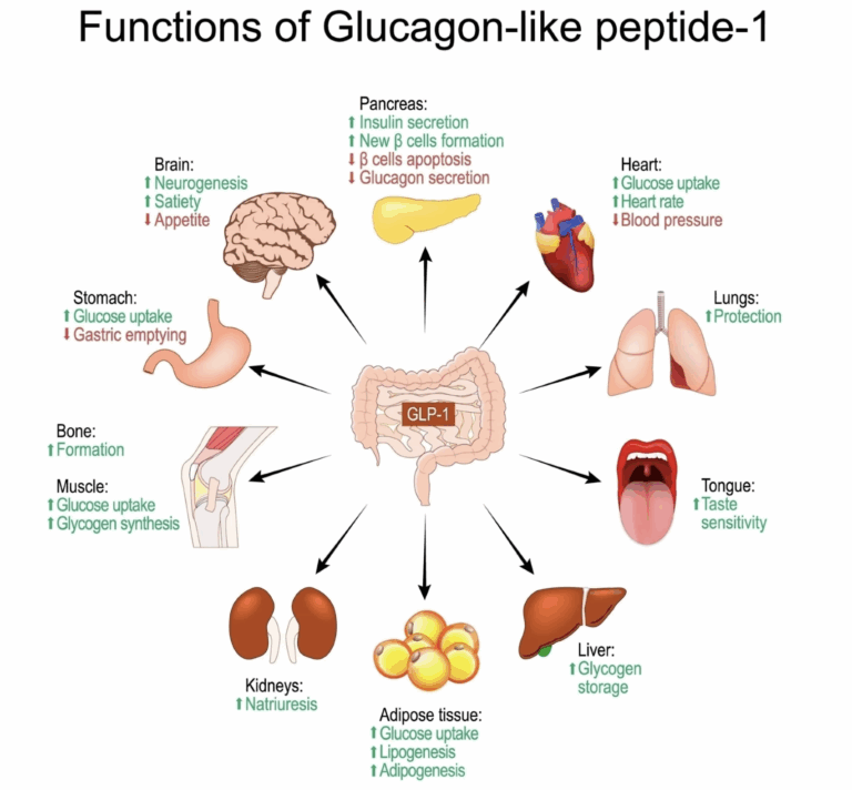 View of Can I Take My GLP-1 Medication While Pregnant?